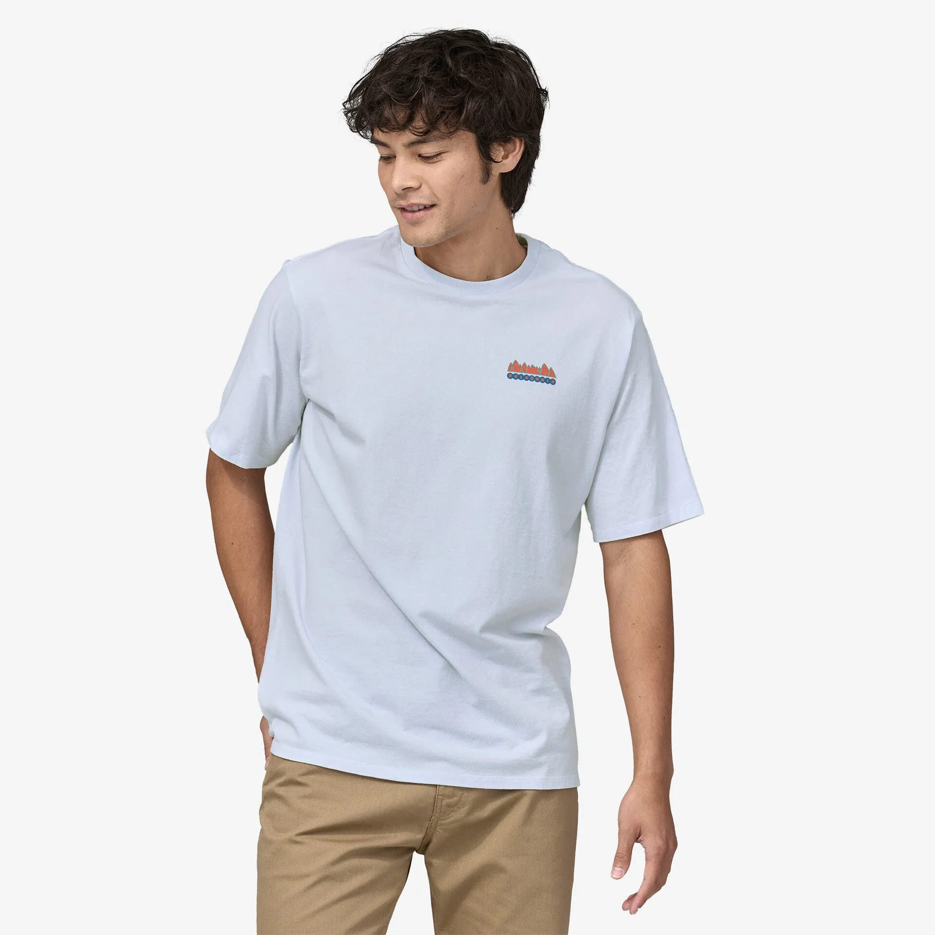 Men's Fitz Roy Wild Responsibili Patagonia T-shirt, gray